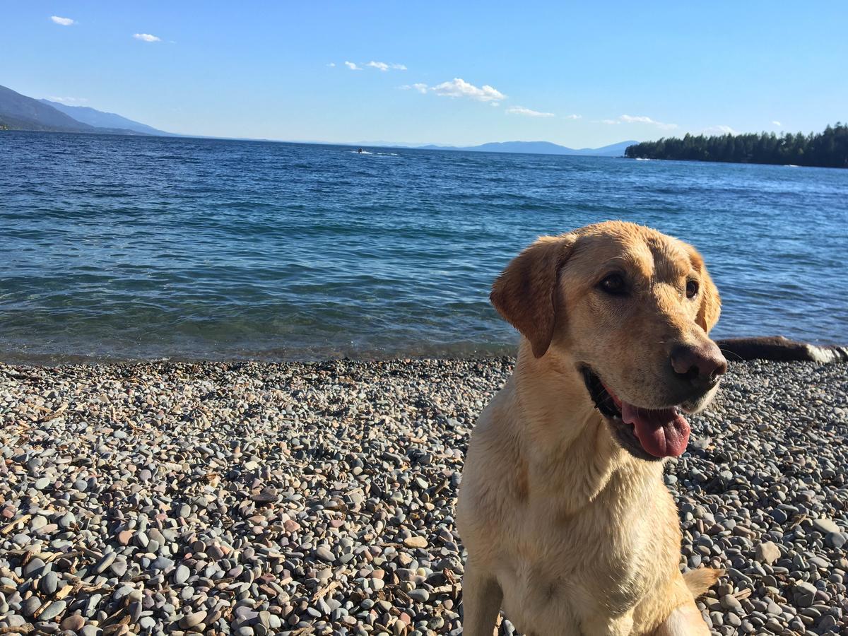 Flathead Lake Resort Woods Bay Zewnętrze zdjęcie